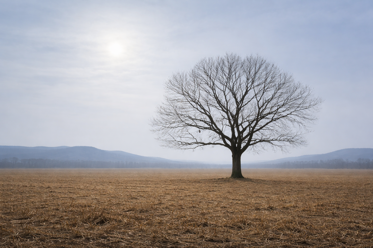 A vast, empty field under a pale blue sky.