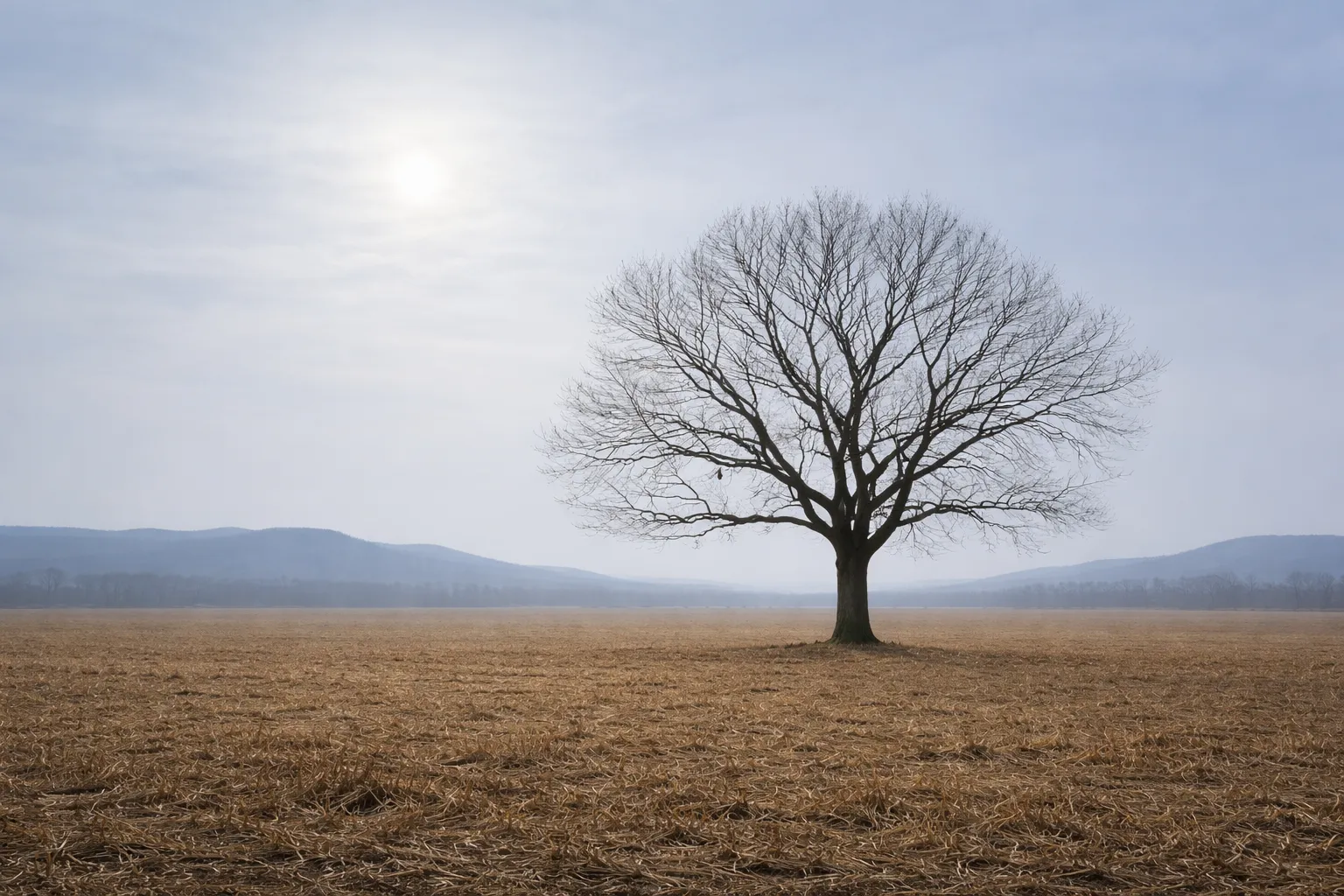 A vast, empty field under a pale blue sky.