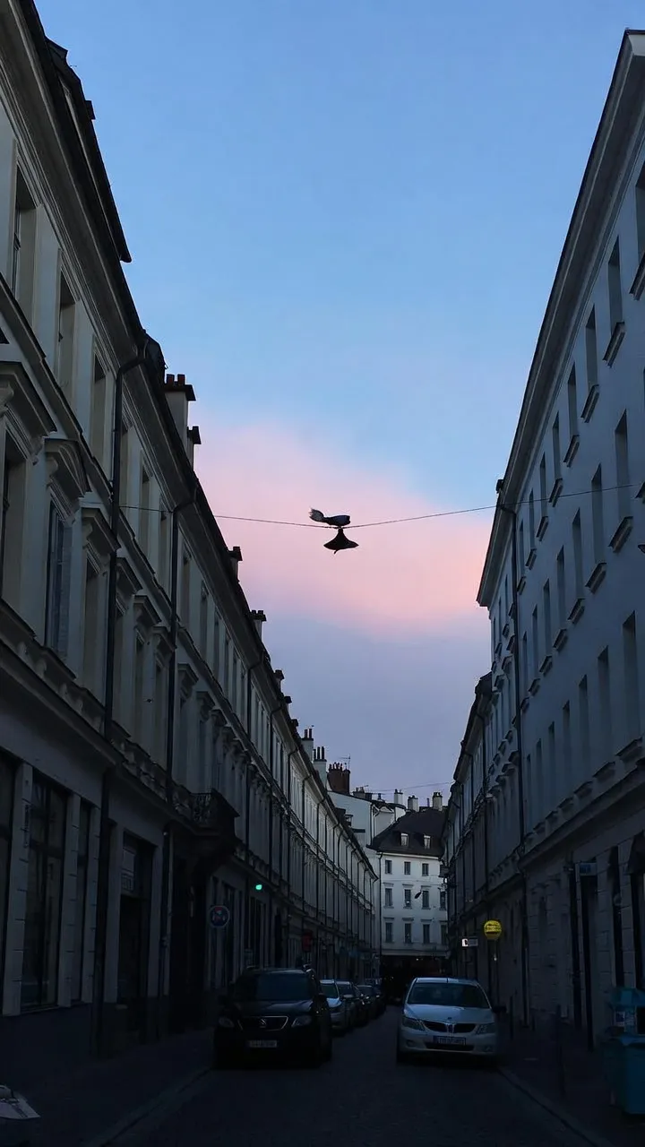 The hour before the city wakes.